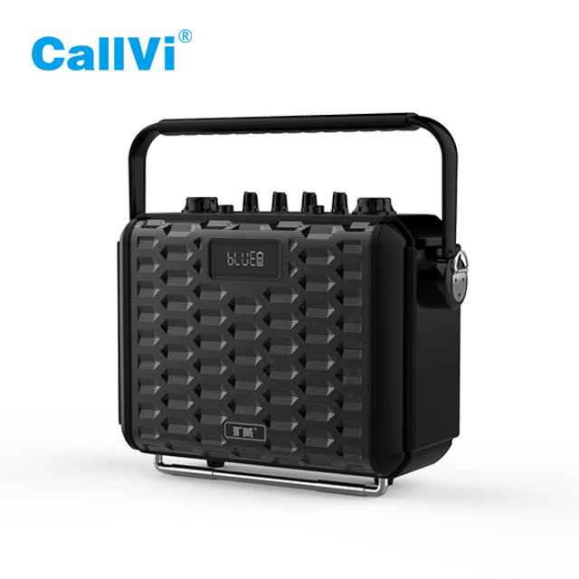 CallVi V-1616 Portable speakers  