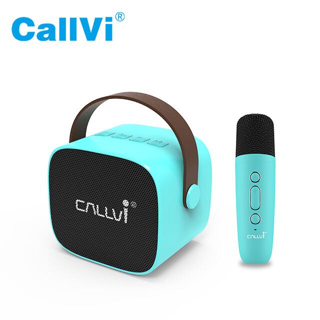 CallVi W2 Portable speaker